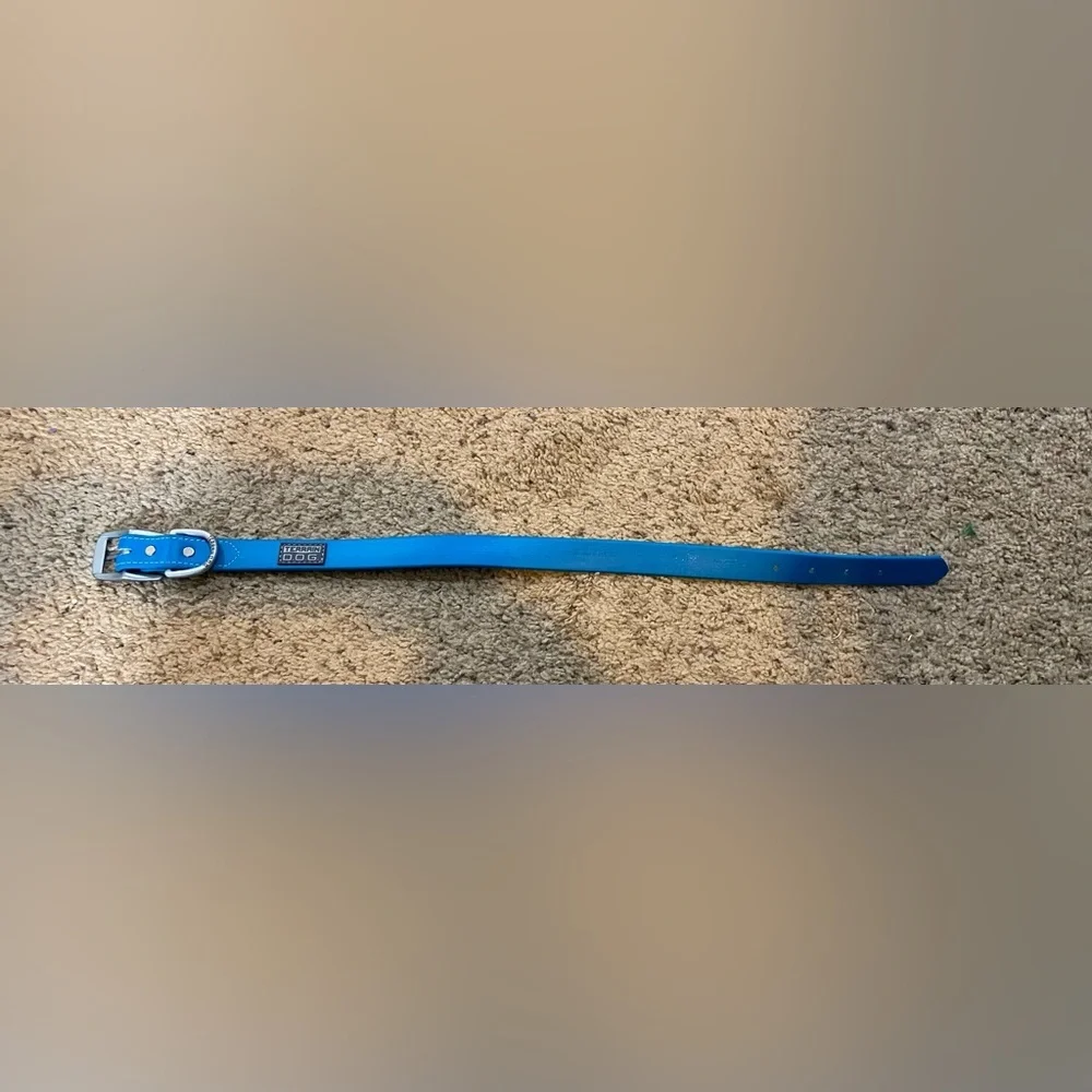 Teal Dig Collar Size 21 inches